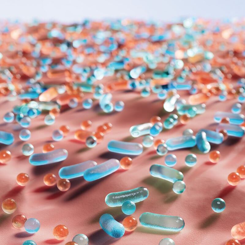 Microbiome in microscope