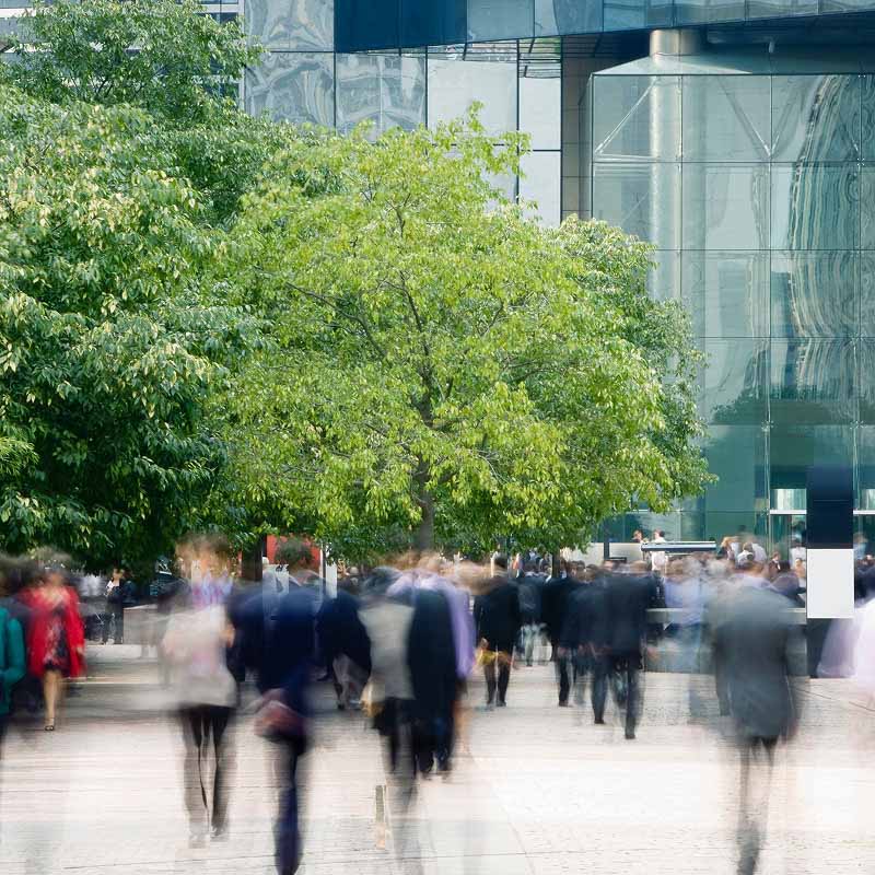 City pollution and stress
